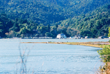 [Many docks at the water's edge. Behind the docks is a large evergreen-covered hillside.]